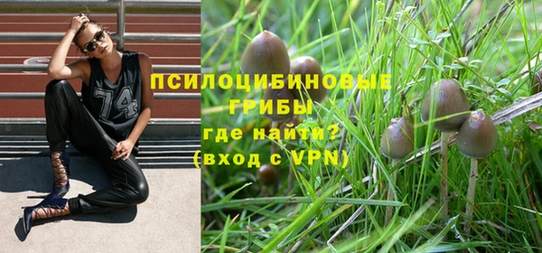 PSILOCYBIN Володарск