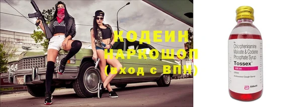 СК Куйбышев