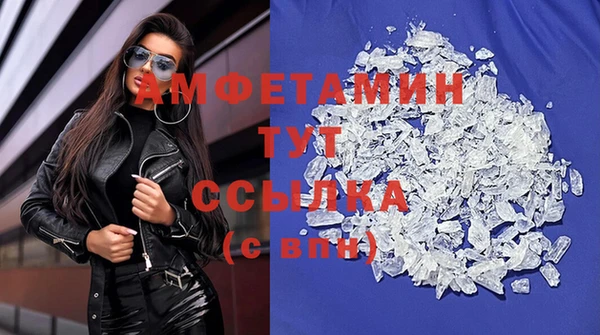 стаф Заводоуковск