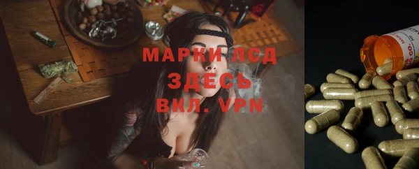 гашик Кукмор
