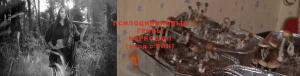 гашик Кукмор