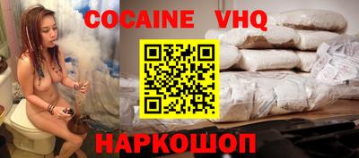 стафф Гатчина