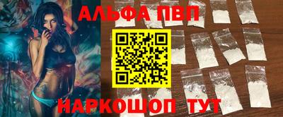 стафф Гатчина
