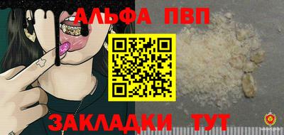 стафф Гатчина