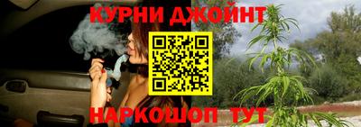 стафф Гатчина