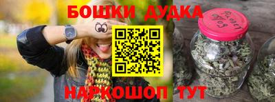 стафф Гатчина