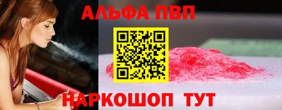 стафф Гатчина