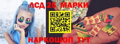 стафф Гатчина