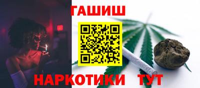 стафф Гатчина