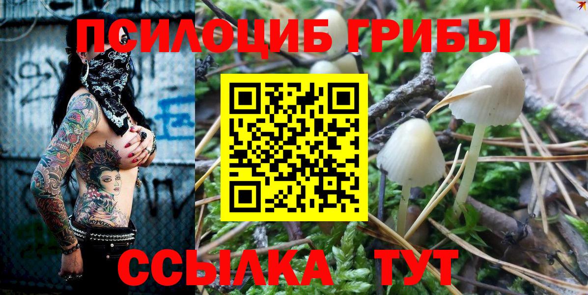 Псилоцибиновые грибы Psilocybine cubensis  Вход с VPN  Псилоцибиновые грибы ЛСД  Обнинск 
