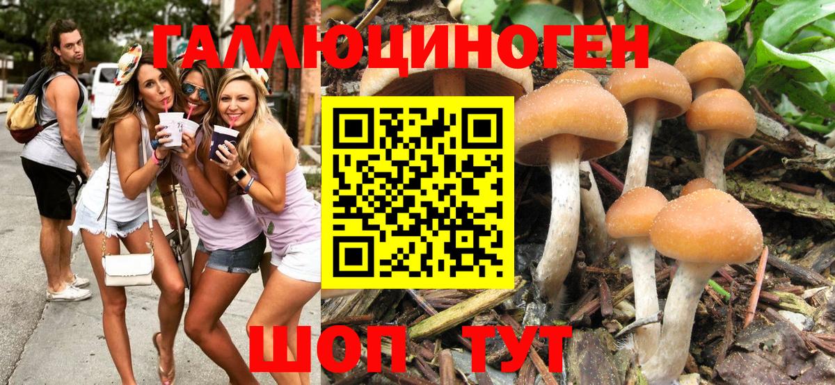 Псилоцибиновые грибы GOLDEN TEACHER Обнинск